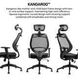 Kangaroo Ergonomic Chair