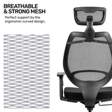 Kangaroo Ergonomic Chair