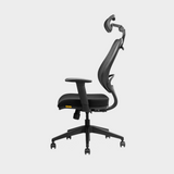 Kangaroo Ergonomic Chair