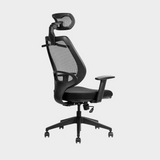 Kangaroo Ergonomic Chair